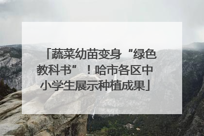 蔬菜幼苗变身“绿色教科书”！哈市各区中小学生展示种植成果