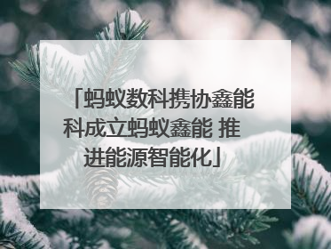 蚂蚁数科携协鑫能科成立蚂蚁鑫能 推进能源智能化