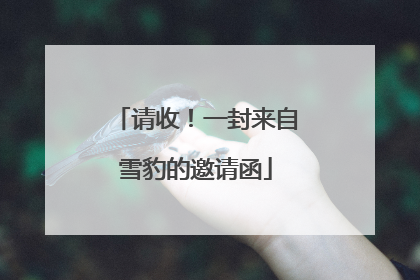 请收！一封来自雪豹的邀请函