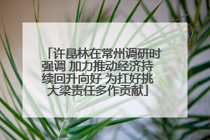 许昆林在常州调研时强调 加力推动经济持续回升向好 为扛好挑大梁责任多作贡献