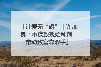 让爱无“碍”｜许加良：重疾致残始种藕 带动致富靠双手