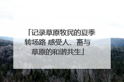 记录草原牧民的夏季转场路 感受人、畜与草原的和谐共生
