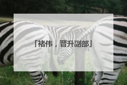 褚伟，晋升副部