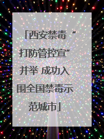 西安禁毒“打防管控宣”并举 成功入围全国禁毒示范城市