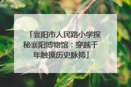 襄阳市人民路小学探秘襄阳博物馆：穿越千年触摸历史脉搏