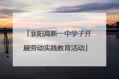 襄阳高新一中学子开展劳动实践教育活动