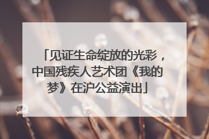 见证生命绽放的光彩，中国残疾人艺术团《我的梦》在沪公益演出