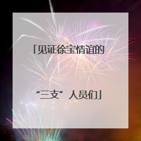 见证徐宝情谊的“三支”人员们