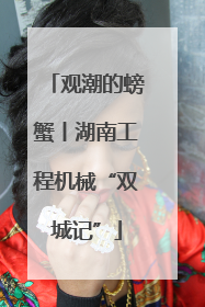 观潮的螃蟹丨湖南工程机械“双城记”