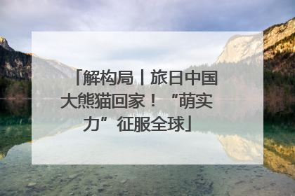 解构局丨旅日中国大熊猫回家！“萌实力”征服全球