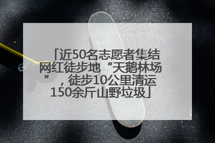 近50名志愿者集结网红徒步地“天鹅林场”，徒步10公里清运150余斤山野垃圾