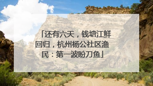 还有六天，钱塘江鲜回归，杭州杨公社区渔民：第一波盼刀鱼