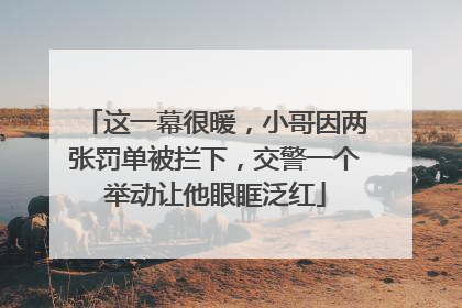 这一幕很暖，小哥因两张罚单被拦下，交警一个举动让他眼眶泛红