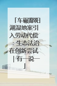 车碾鄱阳湖湿地案引入劳动代偿：生态法治在创新尝试｜有一说一