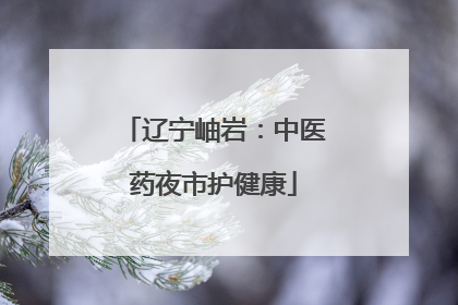辽宁岫岩：中医药夜市护健康
