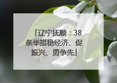 辽宁抚顺：38条举措稳经济、促振兴、勇争先