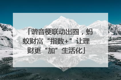 谐音梗联动出圈，蚂蚁财富“指数+”让理财更“加”生活化