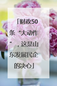 财政50条“大动作”，这是山东发展民企的决心