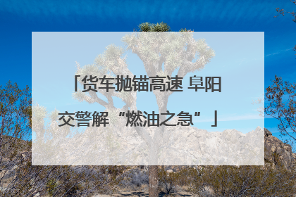 货车抛锚高速 阜阳交警解“燃油之急”