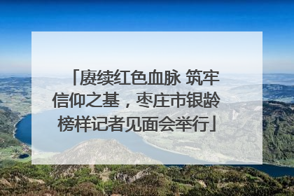 赓续红色血脉 筑牢信仰之基，枣庄市银龄榜样记者见面会举行