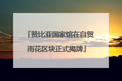 赞比亚国家馆在自贸雨花区块正式揭牌