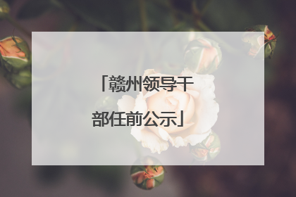 赣州领导干部任前公示