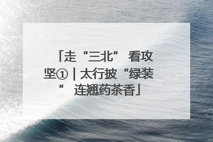 走“三北” 看攻坚①｜太行披“绿装” 连翘药茶香