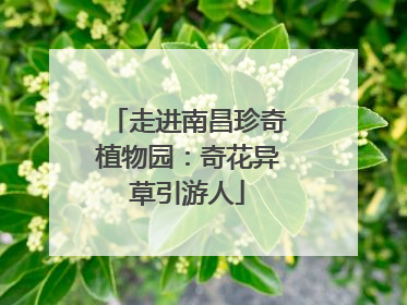 走进南昌珍奇植物园：奇花异草引游人