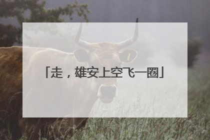 走，雄安上空飞一圈