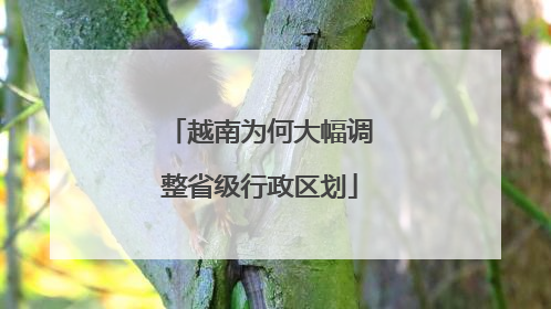 越南为何大幅调整省级行政区划