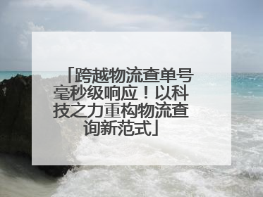跨越物流查单号毫秒级响应！以科技之力重构物流查询新范式