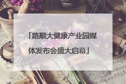 路顺大健康产业园媒体发布会盛大启幕