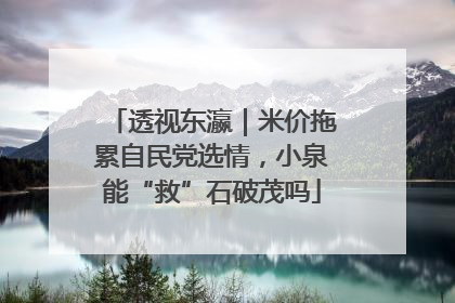 透视东瀛｜米价拖累自民党选情，小泉能“救”石破茂吗