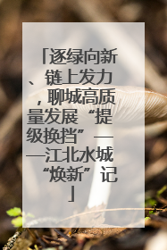 逐绿向新、链上发力，聊城高质量发展“提级换挡”——江北水城“焕新”记