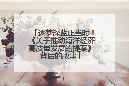 逐梦深蓝正当时！《关于推动海洋经济高质量发展的提案》背后的故事