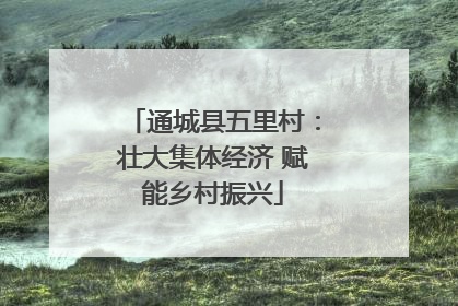 通城县五里村：壮大集体经济 赋能乡村振兴