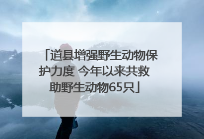 道县增强野生动物保护力度 今年以来共救助野生动物65只