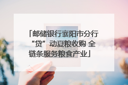 邮储银行襄阳市分行“贷”动夏粮收购 全链条服务粮食产业