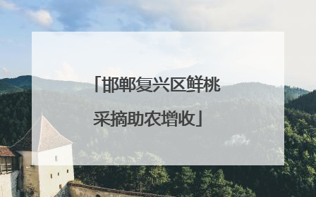 邯郸复兴区鲜桃采摘助农增收