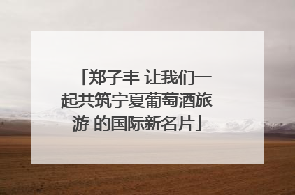 郑子丰 让我们一起共筑宁夏葡萄酒旅游 的国际新名片