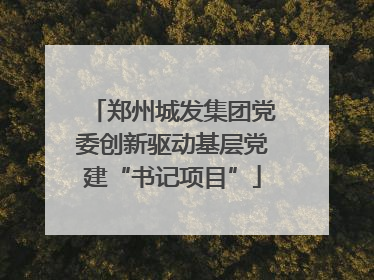 郑州城发集团党委创新驱动基层党建“书记项目”