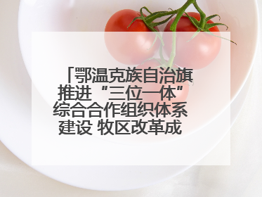 鄂温克族自治旗推进“三位一体”综合合作组织体系建设 牧区改革成果丰硕
