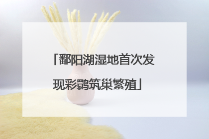 鄱阳湖湿地首次发现彩鹮筑巢繁殖