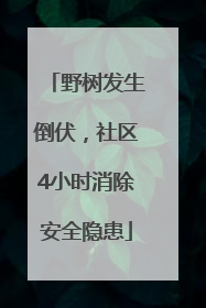 野树发生倒伏，社区4小时消除安全隐患