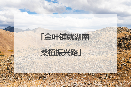 金叶铺就湖南桑植振兴路