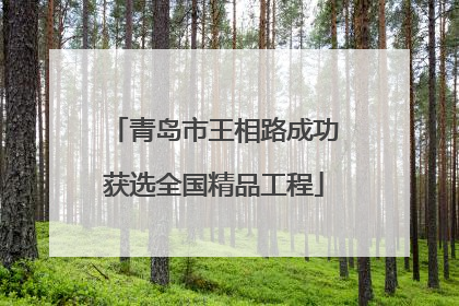 青岛市王相路成功获选全国精品工程