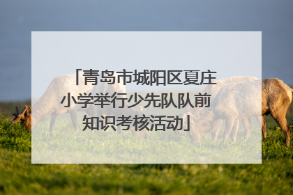 青岛市城阳区夏庄小学举行少先队队前知识考核活动