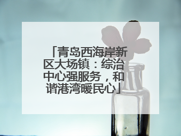 青岛西海岸新区大场镇：综治中心强服务，和谐港湾暖民心