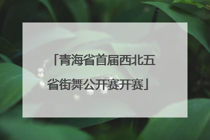 青海省首届西北五省街舞公开赛开赛