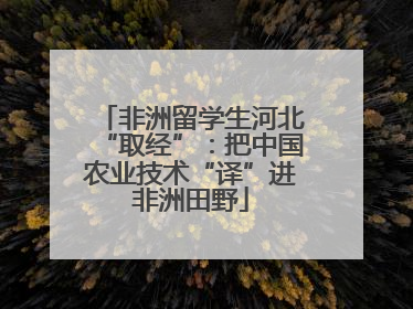非洲留学生河北“取经”：把中国农业技术“译”进非洲田野